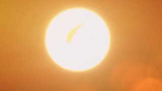 С Днем народного единства!