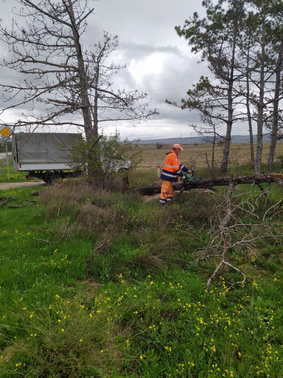 Проводим осенние работы по спилу опасных деревьев и нависающих веток